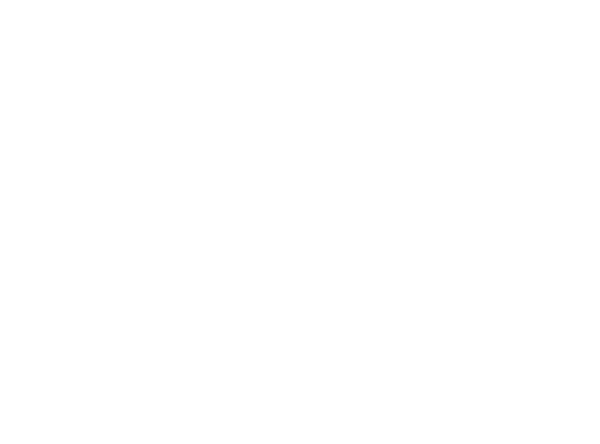 VIV Mental Health